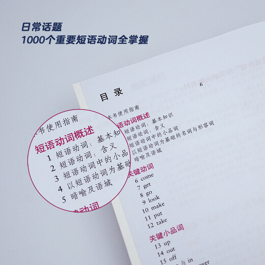 剑桥中级英语短语动词（剑桥“英语在用”English in Use丛书 中文版）