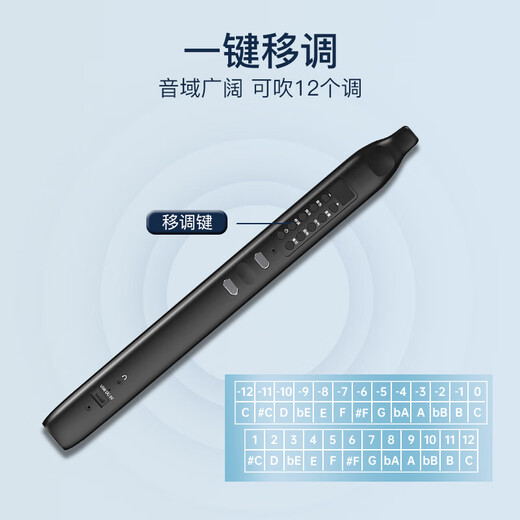romusic电吹管乐器初学者电萨克斯葫芦丝笛子老人新型数字管笛电子管乐器 DC06-Pro标配【27种音色】