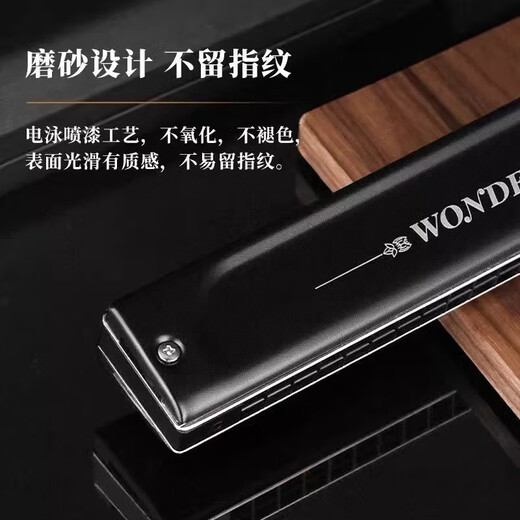 天鹅（SWAN）德国原装进口音簧24孔复音口琴A/B/C/D/E/F/G专业演奏级成人乐器 24孔圆弧款复音G调【不留指纹】