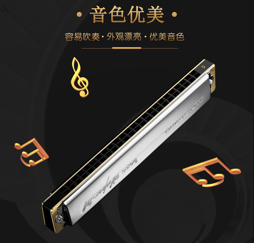 通宝TOMBO通宝口琴6624S复音24孔ABCDEFG调重音成人专业演奏高级乐器 24孔E调  全套赠品