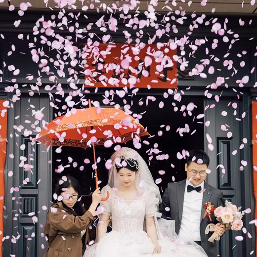HIP KISSINGS LETS MOUDAINE Pétal salon Petal Rain Fireworks Supplies Collection de salon Mariage Pétal Papez Bouteille de ruban de tambour Pink Fun [Perne Petal Rain] 60 Modèles 4