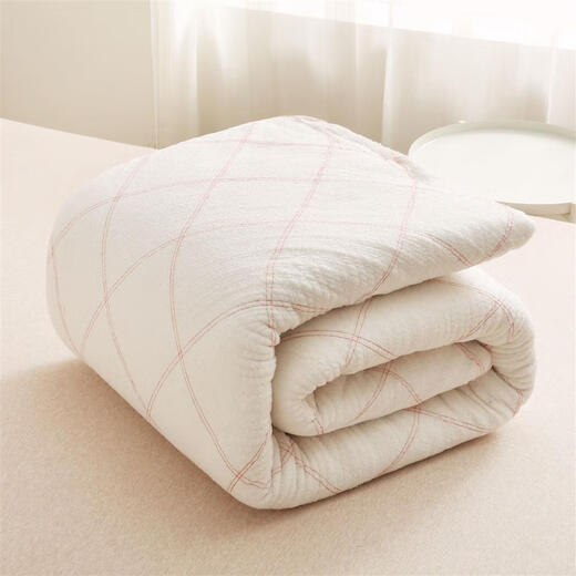 棉被垫被床垫棉被子冬天加厚学生宿舍棉花被芯春秋被褥棉胎被 2米* 2.2米 10 斤