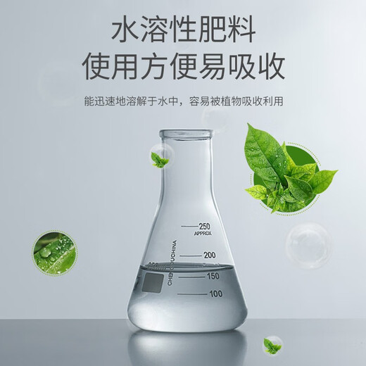 Stanley Ferrous Sulfate Flower Fertilizer Flower Flower Granules Universal Jasmine Azalea Gardenia Special Fertilizer Iron Fertilizer 500g