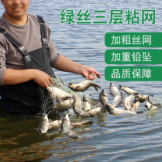Yuxige Fishing Net Fishing Net Sticky Fish High Quality Thin Soft Green Silk Three-layer Fish My Sunken Net Hanging Fish Net Crucian Carp Net Silver Carp Green Silk Three-layer Sunken Net 1.5 meters high 3 fingers 50 meters long