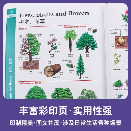 牛津高阶英汉双解词典第10版+笔记本 商务印书馆初高中大学生四六级英语词汇写作阅读理解 可搭2025新版古代汉语词典3版现代汉语词典7版牛津初阶中阶古汉语常用字字典6版袖珍小词典