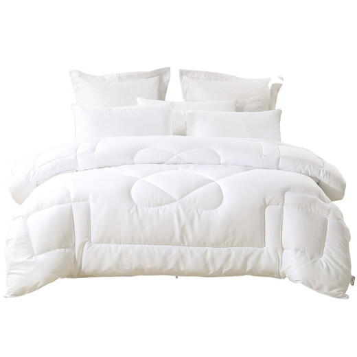Mercury Home Textiles Winter Quilt Contains Seven-hole Antibacterial Breathable Fiber Quilt Double Spring Autumn and Winter Warm Quilt Student Dormitory Quilt Core Alice Antibacterial Seven-hole Winter Quilt 2nd Generation (White) 180x220cm
