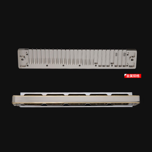 
Tongbao TOMBO harmonica 6624S collection model high-end all-metal copper grid version 24-hole polyphonic harmonica professional performance #F tune [metal copper grid version]