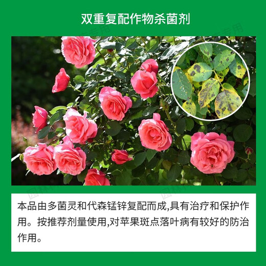 国光英纳 50%多·锰锌花卉苗木果树斑点落叶病褐斑黑星病杀菌剂50克