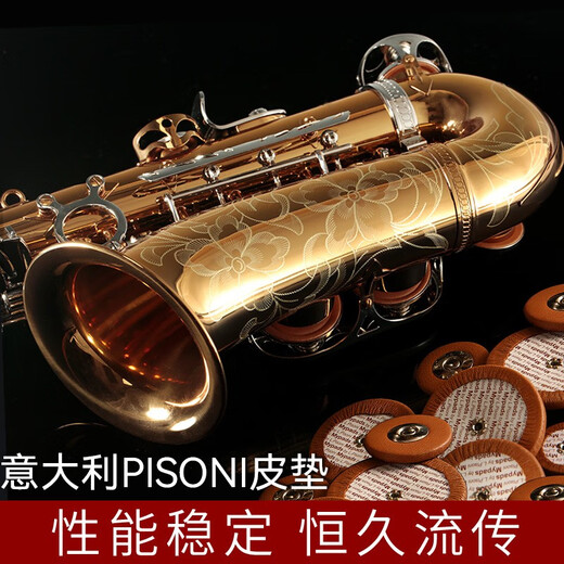 Rollins Rollins Saxophone E-Flat 9902 Alto Saxophone Instrument Performance Performance General Model 9902 Alto - Modèle de base (Ratio Cost-Performance)