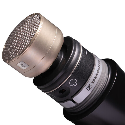 SENNHEISER森海塞尔E825 835 845S 935 945 965麦克风直播K唱歌演出弹唱话筒 E965+2米卡侬线【正品全新】