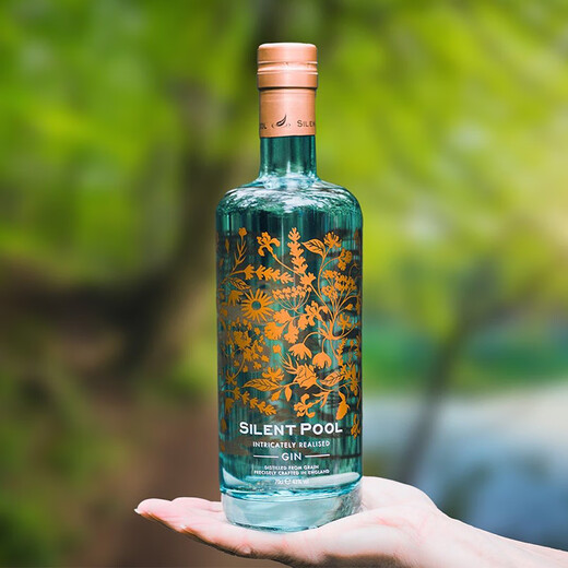 Jingyuan (piscine silencieuse) [UK National Pavilion] Original importé de Surrey Mountain Silent Pool Handmade Gin Wine Base Wine Jingyuan British Gin 700ml 1 Bouteille