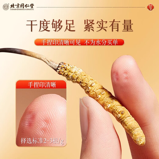 Beijing Tongrentang Cordyceps sinensis [large Cordyceps king] 1g about 3 first stubble unbreakable grass high-end tonic products