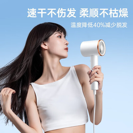 VTT hair dryer household negative ion hair care high-wind hair dryer campus silent portable high-speed high-power quick drying does not hurt hair growth send girlfriend birthday gift high version / white - comes with magnetic suction nozzle + drying cap gift box style