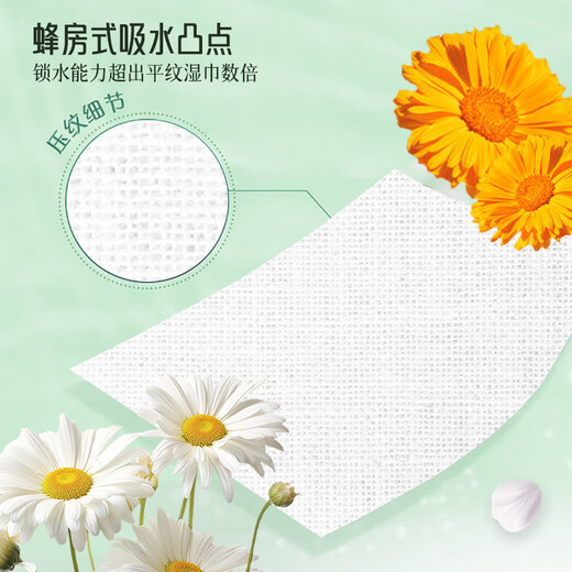 瑞德医生 宠物泪痕湿巾猫咪狗狗湿纸巾擦眼睛去眼屎眼部耳垢清洁免洗120片