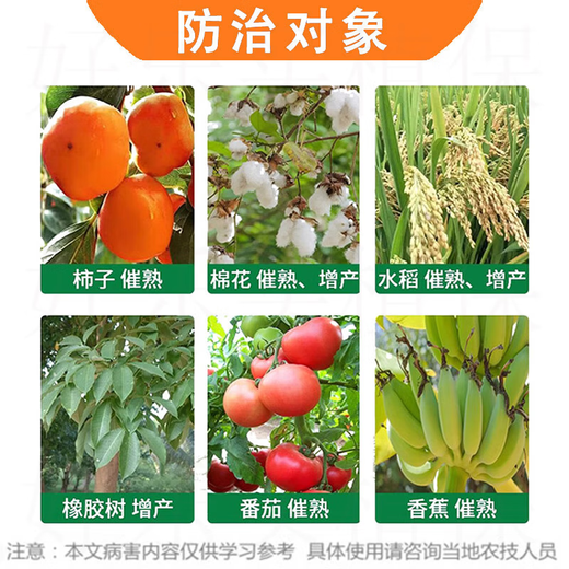 Guoguang 40% ethephon ripening agent tomato cotton persimmon rice banana mango rubber tree ripening and yield increasing regulator 100g (2 bottles)