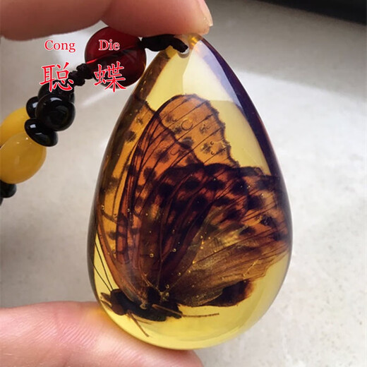 Congdie real insect amber water drop neck pendant scorpion butterfly necklace men and women jewelry spider bee rough stone butterfly double-sided polished pendant
