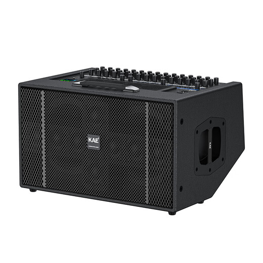 KAEK8 British kae audio flagship musical instrument singing speaker outdoor road show guitar high-power professional karaoke live stereo surround sound kae-k8 K8 black flagship version (rated 500W) official standard