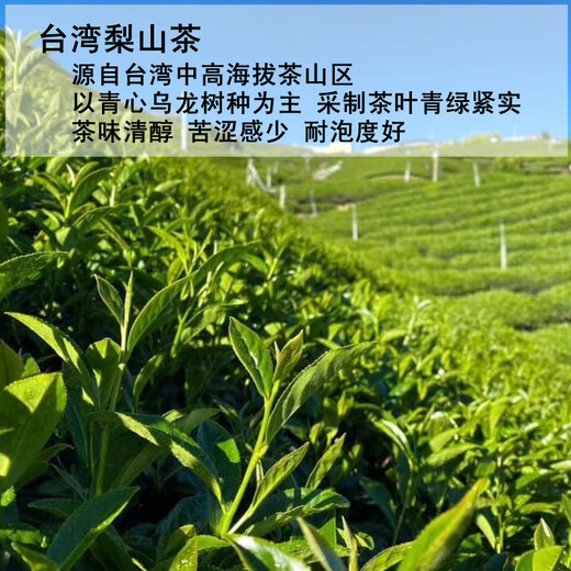 平茗梨山高冷茶台湾高山茶原装进口正宗梨山乌龙茶2025新茶清香型茗茶