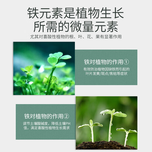 Stanley Ferrous Sulfate Flower Fertilizer Flower Flower Granules Universal Jasmine Azalea Gardenia Special Fertilizer Iron Fertilizer 500g