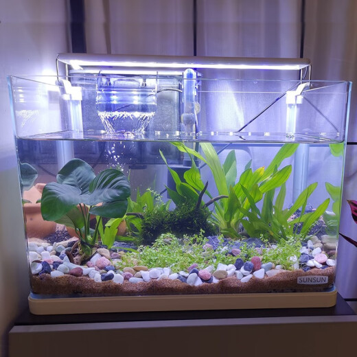 SUNSUN fish tank, small aquarium, hot-bent ultra-white glass ecological goldfish tank, desk, aquatic plant tank, 50cm long hot-bent ultra-white naked tank