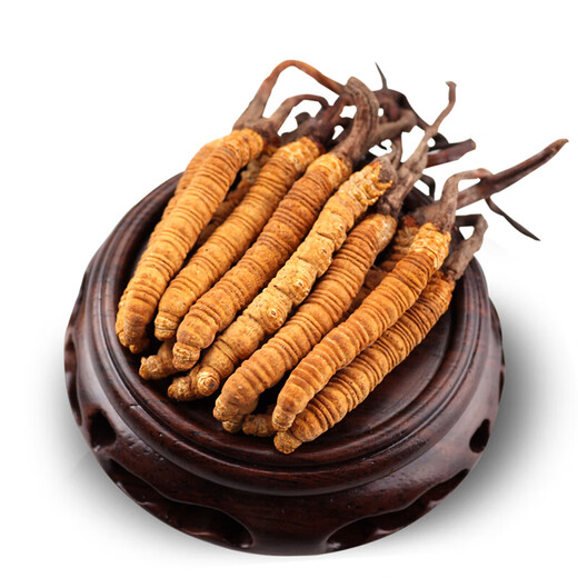 3 Stücke Hornhaut -Gras -Geschenkbox für schneebedeckte Flächen in tibetischen Gebieten mit großer Gras Geschenkbox/Gramm für nahrhafte Geschenke 30 Stück Packungen 10 Stück