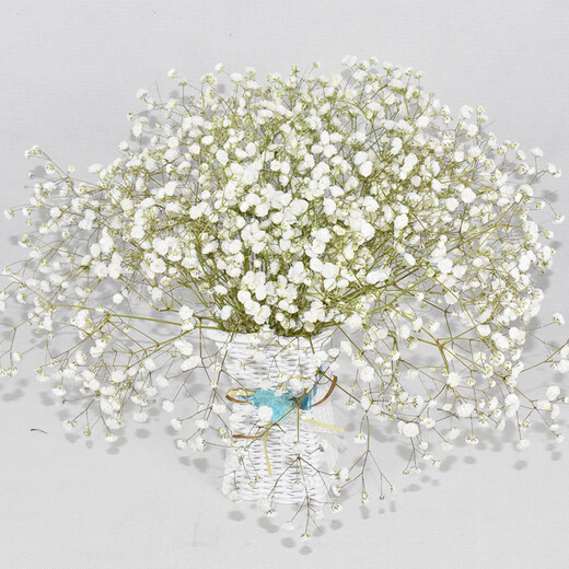 AIMAN Букет из гипсофилы из сушеных цветов Юньнань Натуральный сушеный подарок на день рождения DIY Украшение для гостиной Домашняя мебель Настоящие сухоцветы Белый + синий Смешанная гипсофила с газетой + лентой