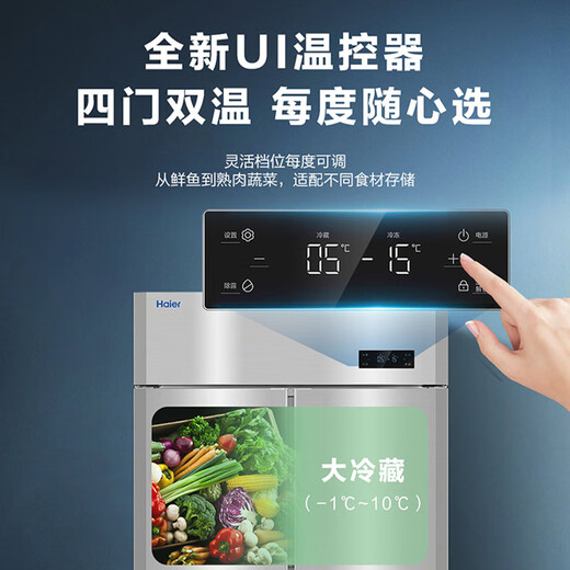 海尔厨房冰箱商用立式四门\六开门冰柜饭店食堂酒店饭店餐厅后厨不锈钢铜管大容量 双系统丨四门全冷冻1050D4S