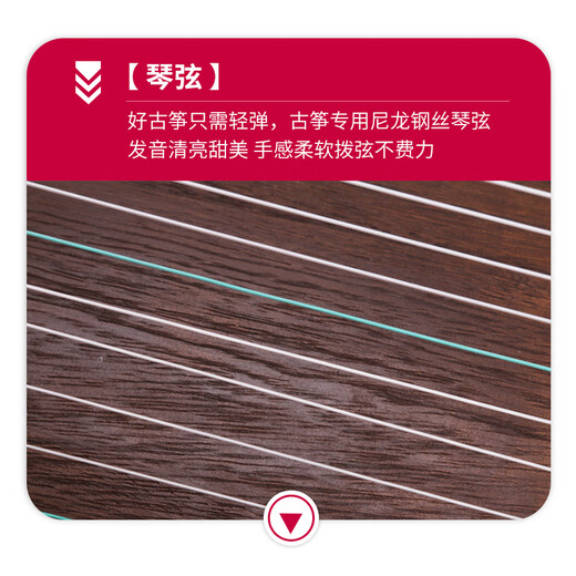 音域（RANGE）初学者入门演奏考试级古筝民族弹拨乐器+琴凳全套配件