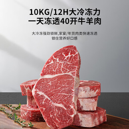 Xueshixi Commercial Kühlschrank Gefrierschrank Horizontale Kühlung mit großer Kapazität und Gefrierdoppelpurpulse Super großes Kupferrohr Gefrierschrank Doppeltemperatur Kühlschrank großer Kapazität Kühlschrank 828 Einzeltemperatur Kupferrohr-Upgrade-Modell (Länge 1,7 Meter)