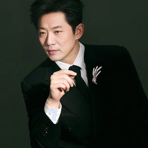 Shijun (SHIJUN) men's brooch men's suit luxury brand brooch brooch brooch brooch badge badge suit accessories high silver