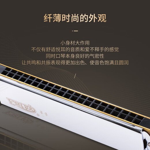 东方鼎重音口琴21孔进口音簧T2110演奏级12个调性初学生成人专业乐器 B调