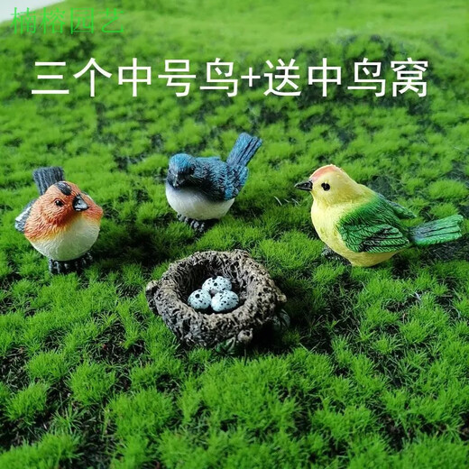 Phoebe gardening micro-landscape ornaments, bird resin crafts, cute simulated bird's nest, gardening bonsai decoration, bird eggs, three medium-sized birds + free medium-sized bird's nest