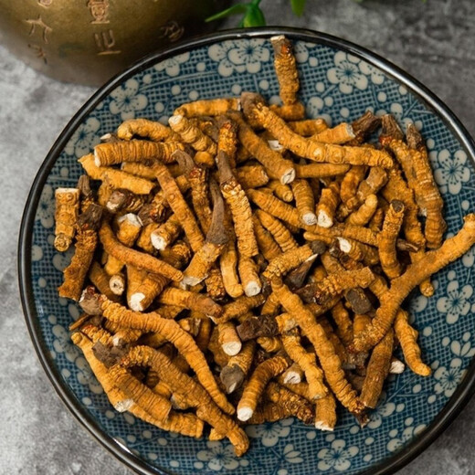 雄风道【处理10克-100克断草】冬虫夏草断虫草大断草正宗冬虫夏草断草实 虫草40克