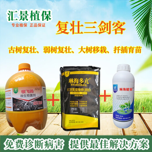 Linhai's flying roots, strong old trees, weak trees, rejuvenation, treatment of dead trees, germination, root packaging, diseased tree resurrection liquid, wine red