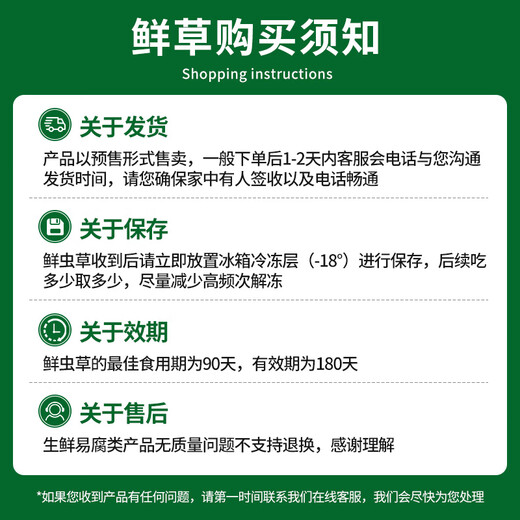 
Fresh Cordyceps sinensis Yuanjiang grass, 2025 first stubble Cordyceps 1.0~1.1g/root 50 roots, direct and cold transportation from the source