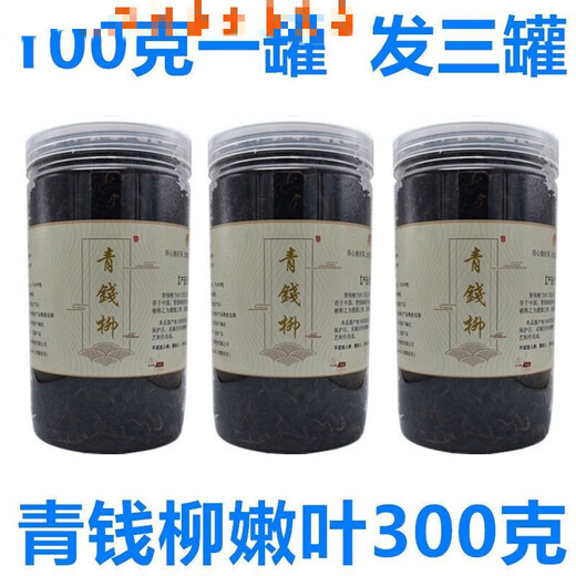 Jingshi Yue Tea Green Money Willow Tabage Feuilles Golden Money Willow Tea Tende Feuilles Green Money Willow 50g