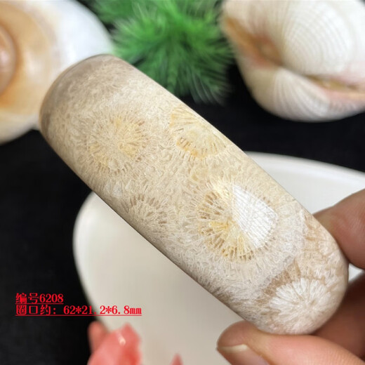DR GRAFFCARNY珊瑚玉手镯天然菊花石玉镯子62mm天然水晶民族风礼物 6231