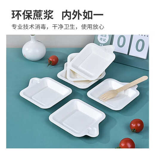 Temeiju disposable plates food grade dinner plates cake plates party barbecue thickened biodegradable sugar cane pulp paper plates square plates 60 pieces