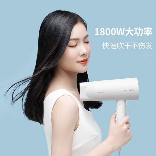 FLYCO Portable Hair Dryer Negative Ion Household High Power Deep Hair Hair Dryer Quick Drying Foldable Birthday Gift for Girlfriend FH6276 Milky White + Storage Bag