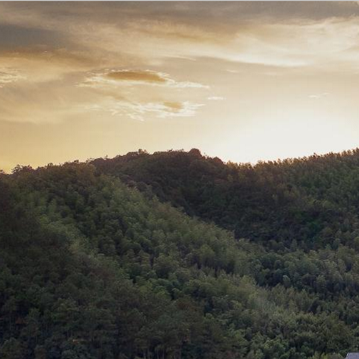 Jingxitong North and Central Region Team Building Fee