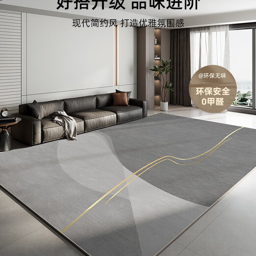 佤歌莉娜客厅地毯圈绒轻奢高级沙发茶几毯灰色卧室免洗可擦免打理简约 现代16779 200cm*340cm