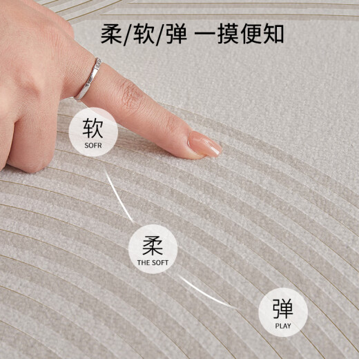 布迪思地毯卧室大面积满铺家用客厅毯沙发茶几轻奢防滑毯简约可定制地毯 现代6210【加厚圈绒】 240*400CM【属于定制不退换】