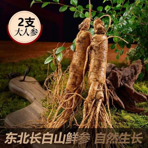 Chinesische Kräutermedikamente zum Einweichen von Wein, zehnfein gefällte Formel, ein Einweichen von Wein, chinesische Kräutermedikamente für Männer zum Einweichen von Wein, nahrhafte Hirschpeitsche Kidney-Hirschgeweihe, ein Einweichen des Weins, zehn Förderungsformel, zehn gefettete Formel, ein Weichen des Weins, ein Einweichen von Wein einweichen Wein
