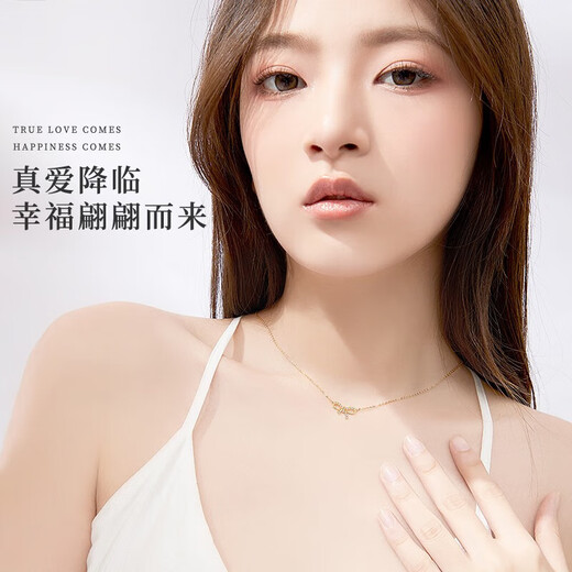 Farcoko 18K gold necklace for women, butterfly pendant, gold clavicle chain, Valentine's Day gift for girlfriend and wife 520 bow necklace, SF air freight, engraved greeting card