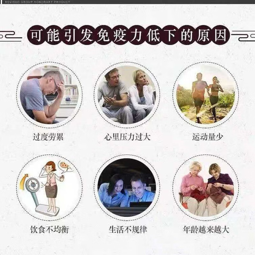 修正破壁灵芝孢子粉胶囊60粒增强免疫力中老年人保健品手术后营养礼品 1盒装【新旧包装】