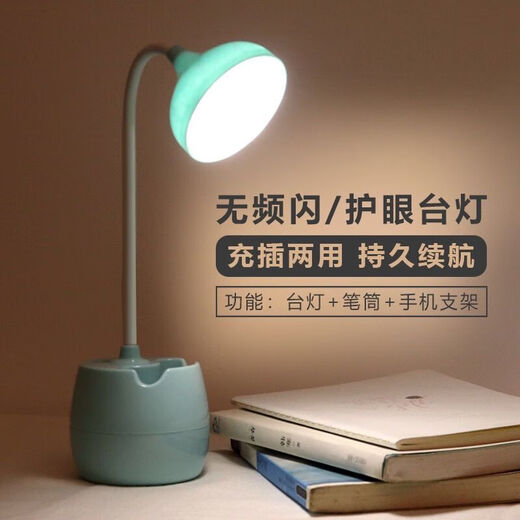 湖绵台灯学习少女心学生宿舍可充电插电可爱笔 可爱笔筒 粉色花朵