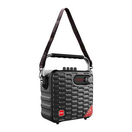 Malata (malata) outdoor audio electric acoustic guitar bass folk singing instrument speaker square dance portable wireless Bluetooth mini speaker with microphone