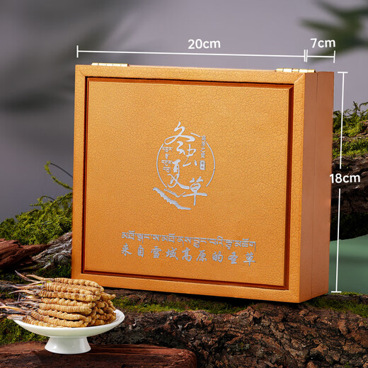 藏汐堂冬虫夏草3根/g 20克 60根装高海拔干虫草头期冬虫草滋补礼盒