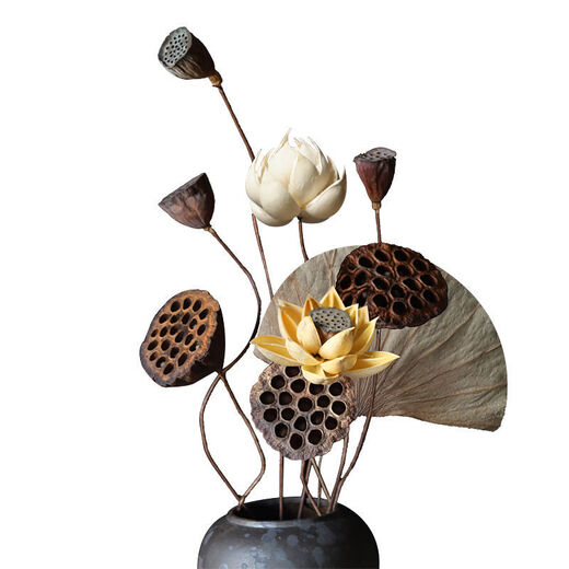 AIMAN dried lotus flower bouquet lotus lotus real flower Zen style air-dried Chinese flower arrangement living room decoration ornaments to attract wealth Combination 1 (without bottle)