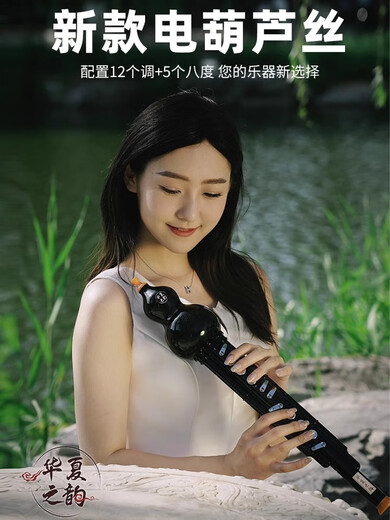 十里清波华夏之韵电葫芦丝乐器国产电子葫芦丝吹管电子笛电萨初学者定制款 红木色标配
